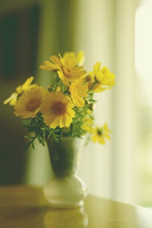 Photos of vases - glass vase with yellow flowers.jpg